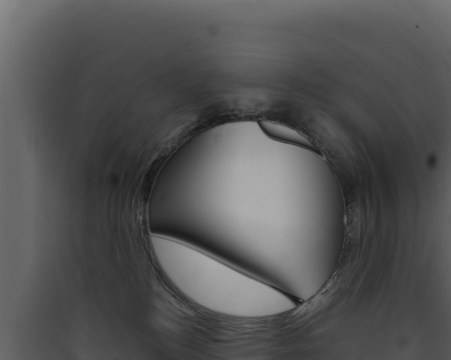 X0000090430184200707131016