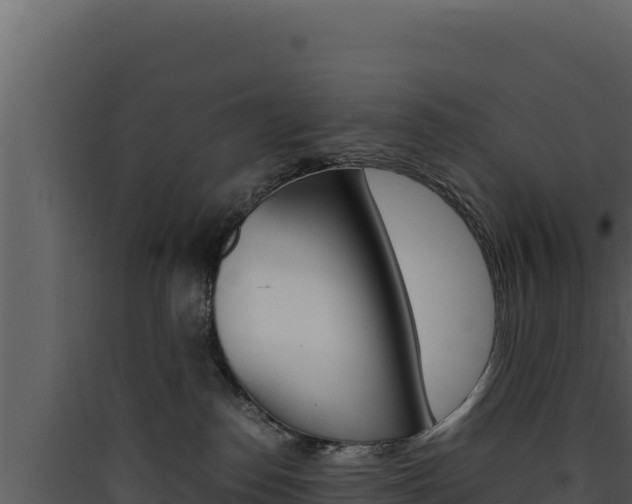 X0000090430186200707131016