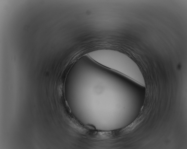 X0000090430188200707131016