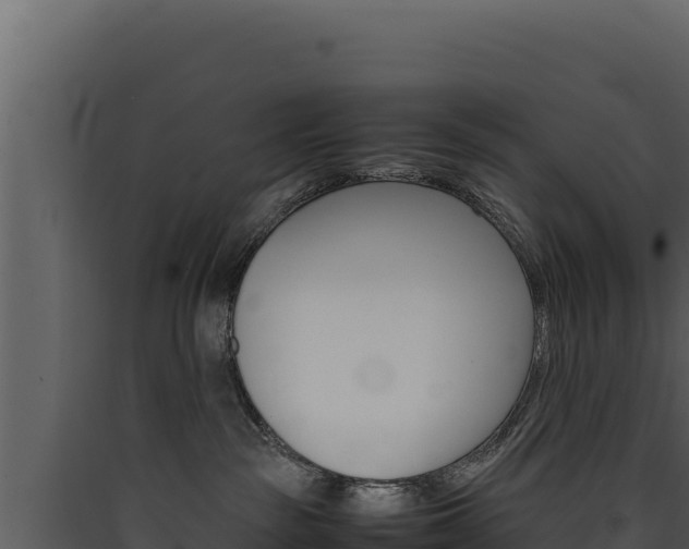 X0000090430189200707131016