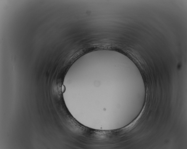 X0000090430190200707131016