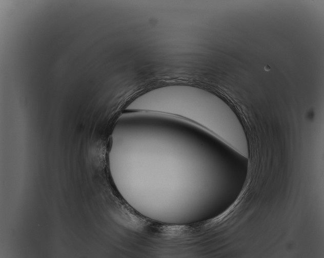 X0000090430192200707131016