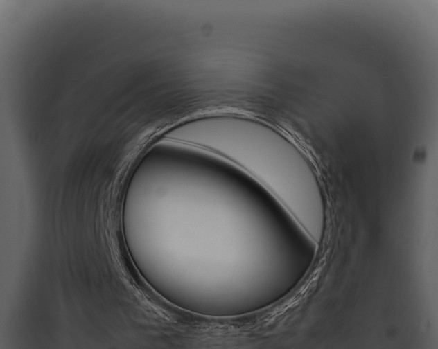 X0000090430193200707131015
