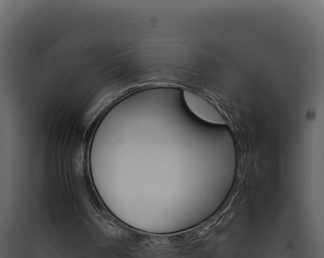X0000090430194200707131015