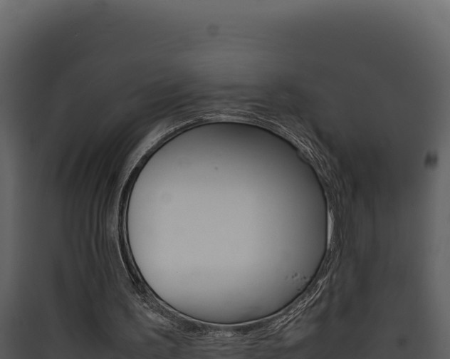 X0000090430195200707131015