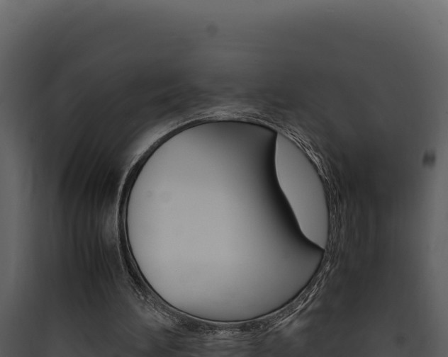 X0000090430196200707131015