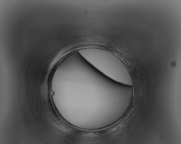X0000090430198200707131015