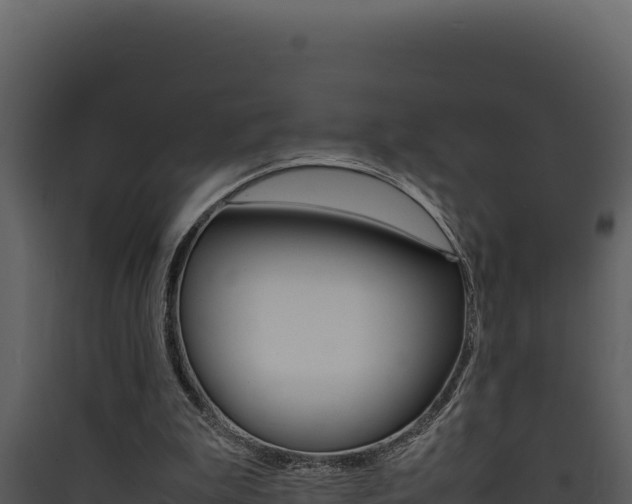 X0000090430199200707131015
