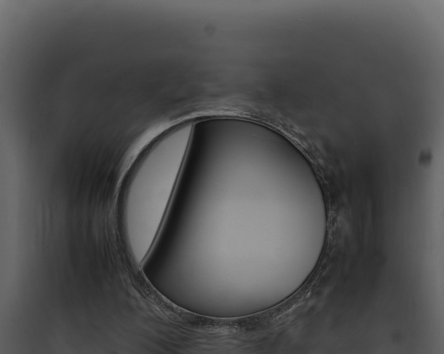 X0000090430200200707131015
