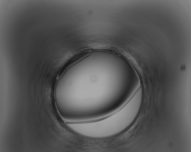 X0000090430201200707131015