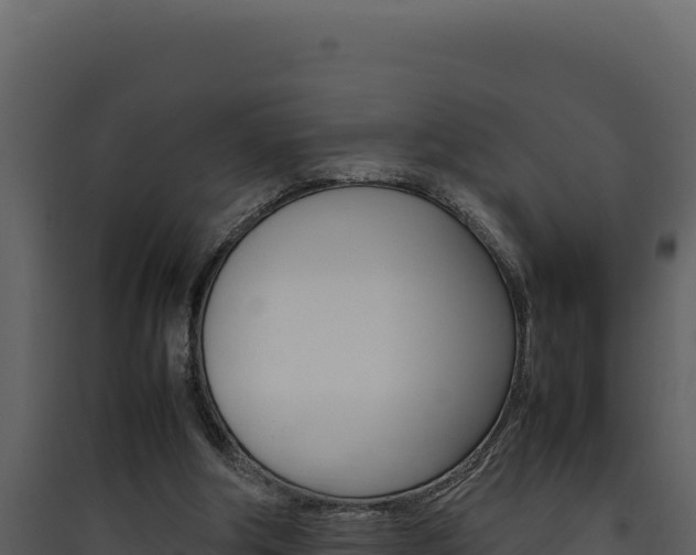 X0000090430202200707131015