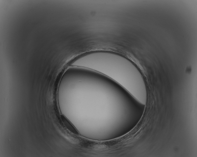 X0000090430203200707131015