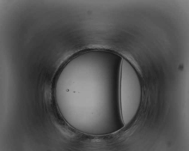 X0000090430204200707131015