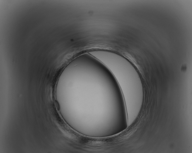 X0000090430205200707131015