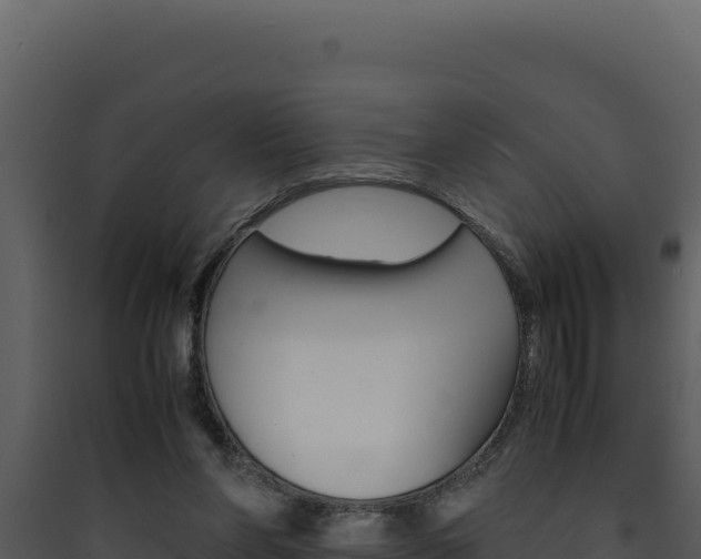 X0000090430206200707131015