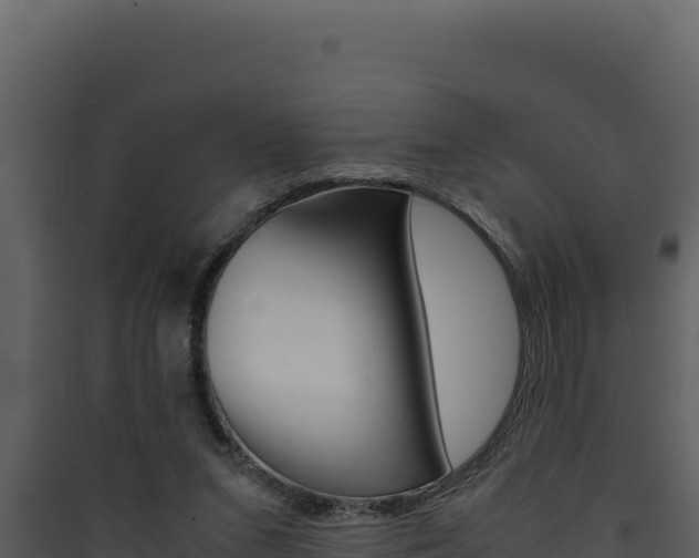 X0000090430207200707131015