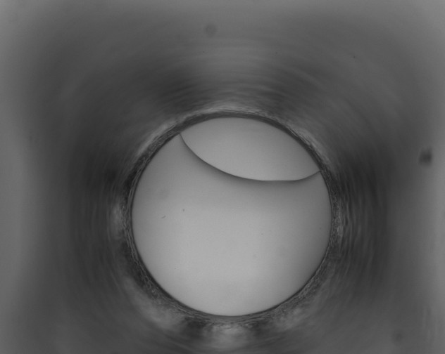X0000090430208200707131015