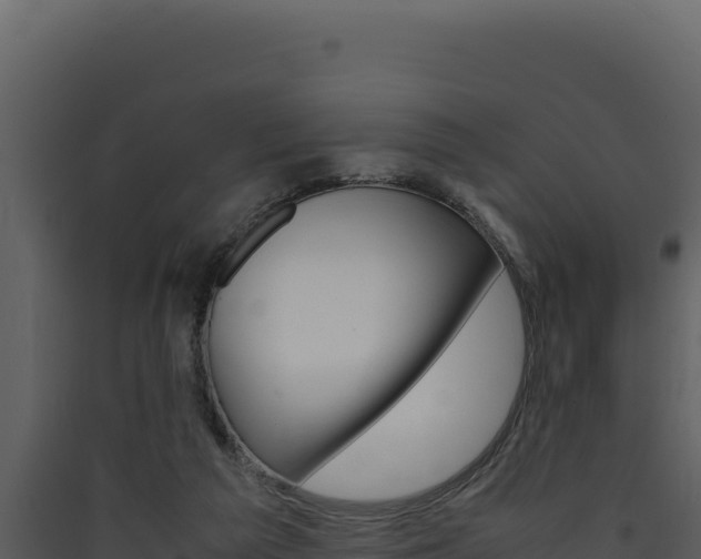 X0000090430209200707131015