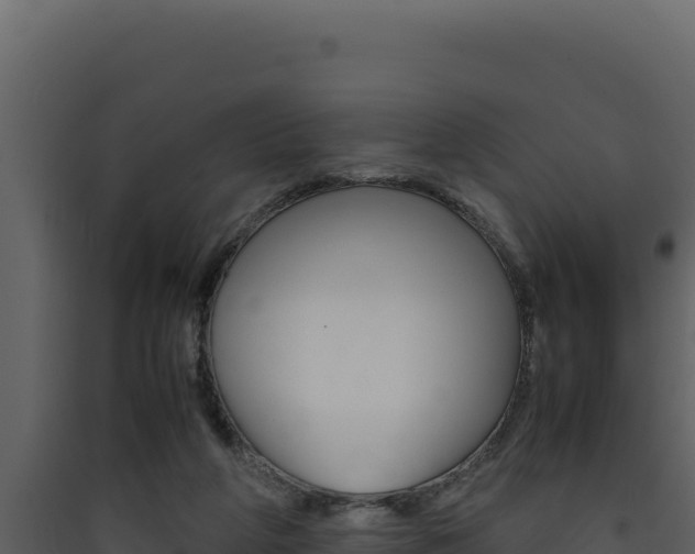 X0000090430210200707131015