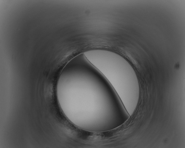 X0000090430211200707131015