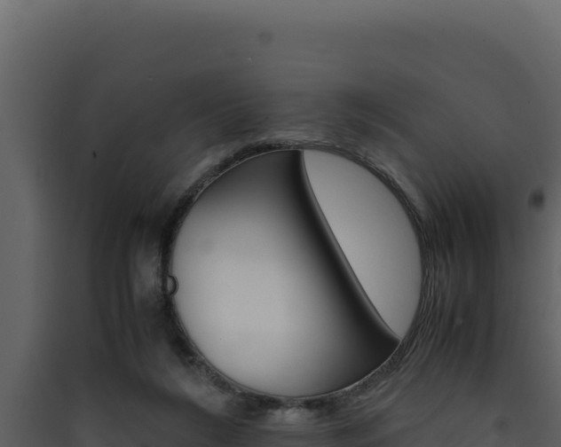 X0000090430212200707131015