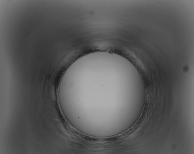 X0000090430213200707131015