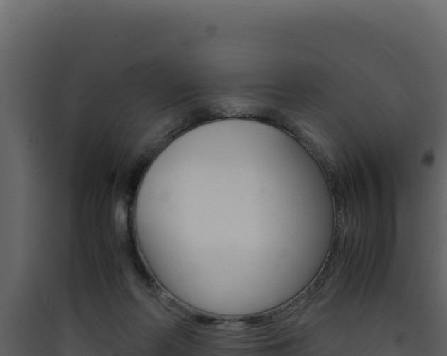 X0000090430214200707131015