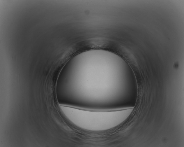 X0000090430215200707131015