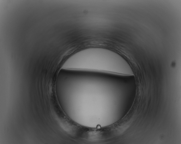X0000090430216200707131015