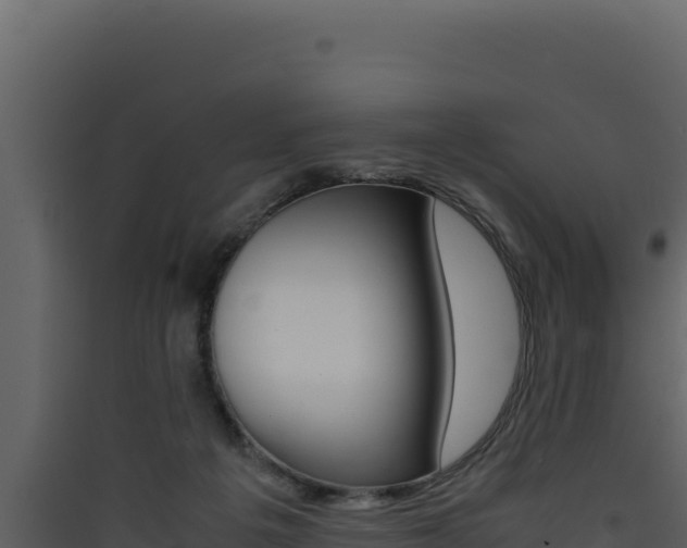 X0000090430217200707131015