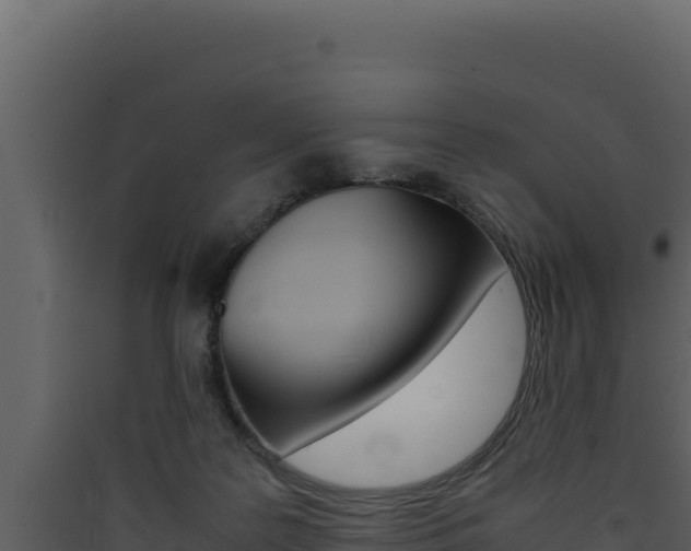X0000090430219200707131015