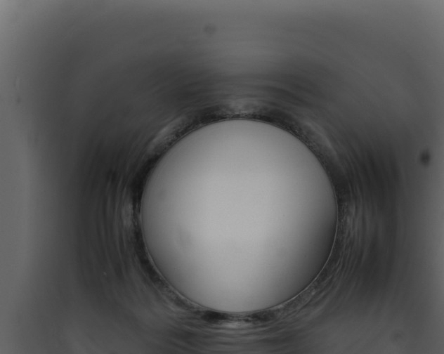 X0000090430220200707131015