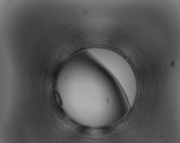 X0000090430221200707131015
