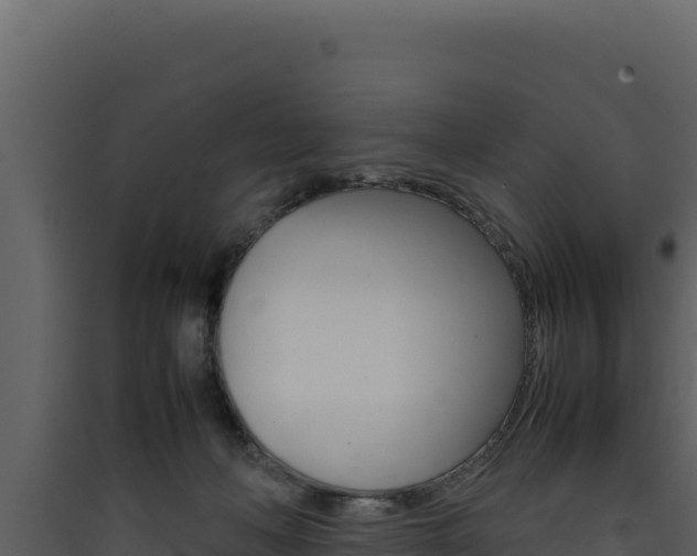 X0000090430222200707131015