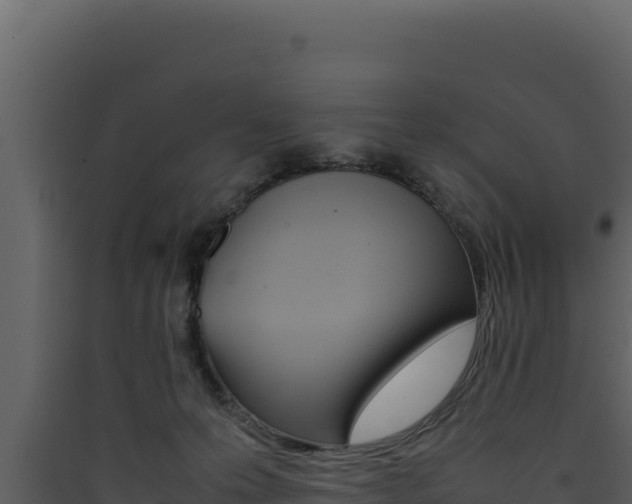 X0000090430223200707131015