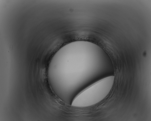 X0000090430224200707131015