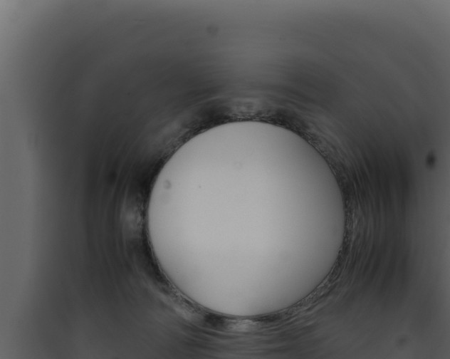 X0000090430226200707131015