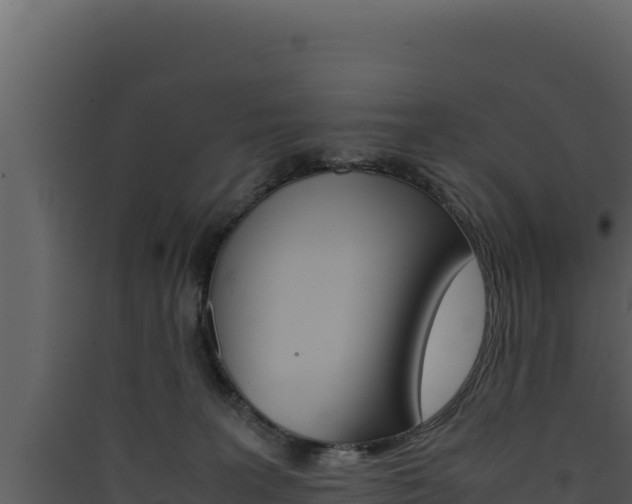 X0000090430227200707131015