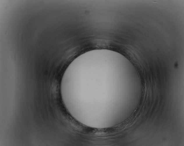 X0000090430228200707131015