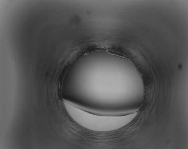 X0000090430229200707131015