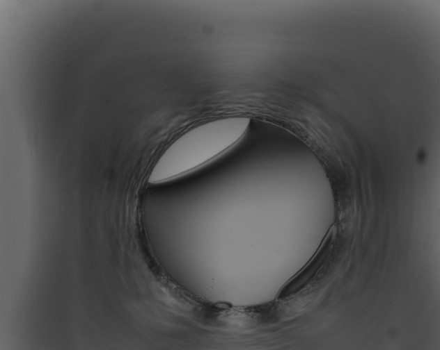 X0000090430231200707131015