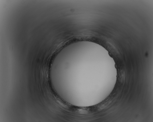 X0000090430232200707131015
