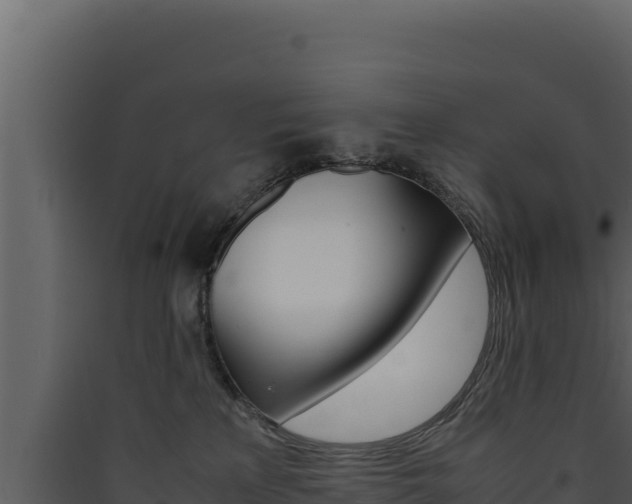 X0000090430233200707131015