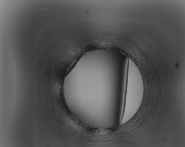 X0000090430235200707131015