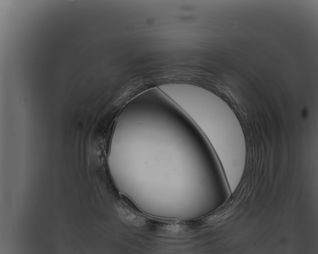 X0000090430237200707131015