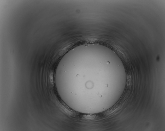 X0000090430238200707131015