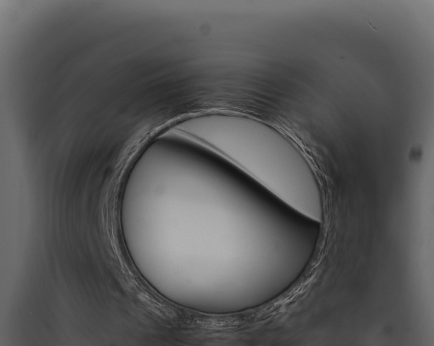 X0000090430241200707131014