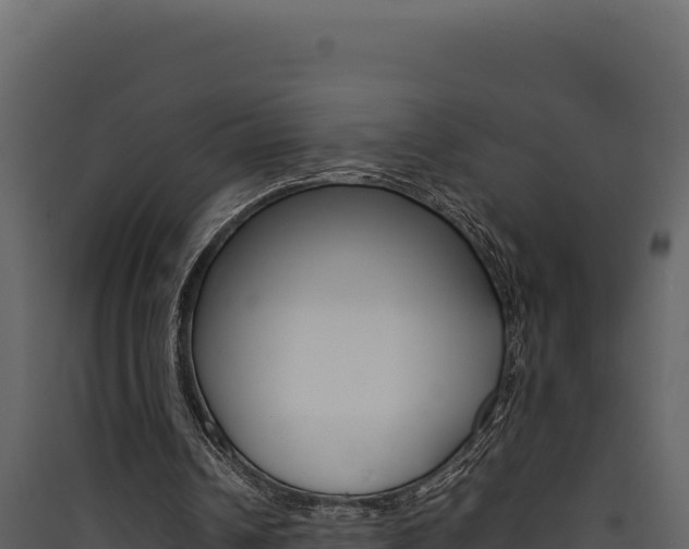 X0000090430242200707131014