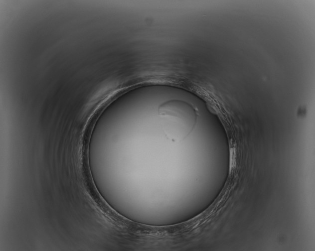 X0000090430243200707131014