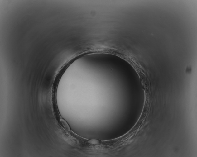 X0000090430244200707131014